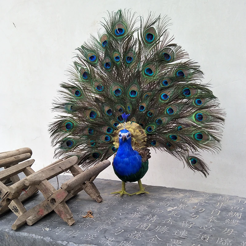 new real life peacock model foam& feather colourful peacock bird gift about 65x60cm d0030