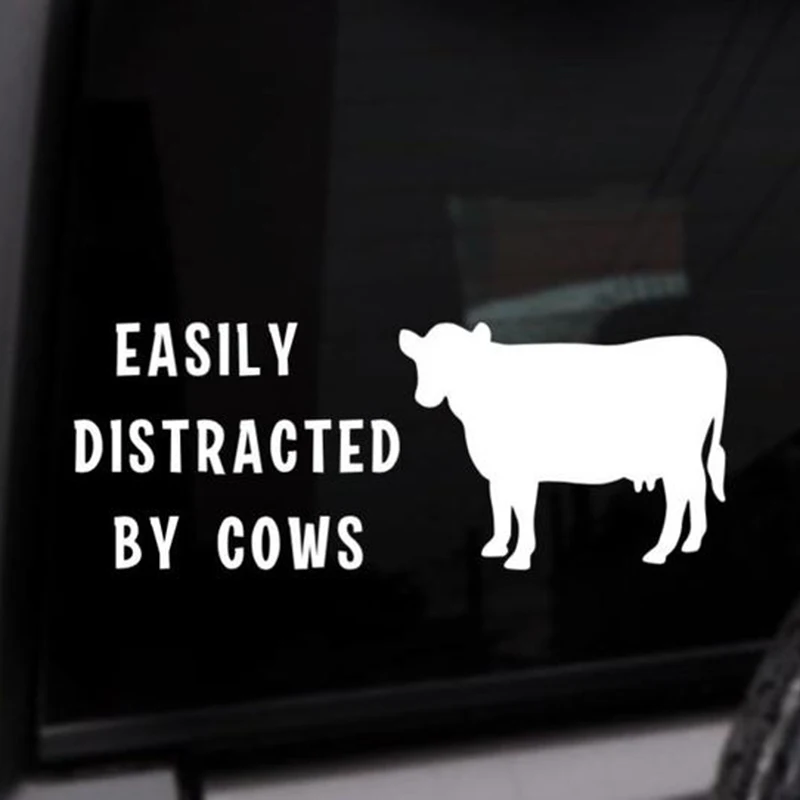 Black/White Easily Distracted By Cows Quote Car Sticker Removable Waterproof Window Body Bumper CL890