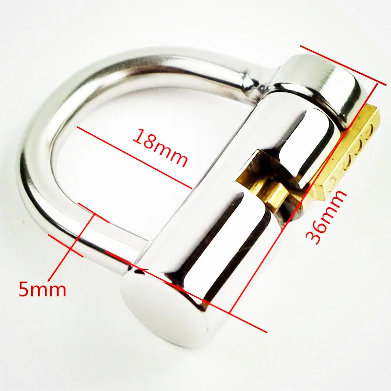 5MM Stainless Steel Lock Prince Albert Locked Chastity Piercing Titanium D-Ring PA Lock Glans Piercing PA Puncture BDSM