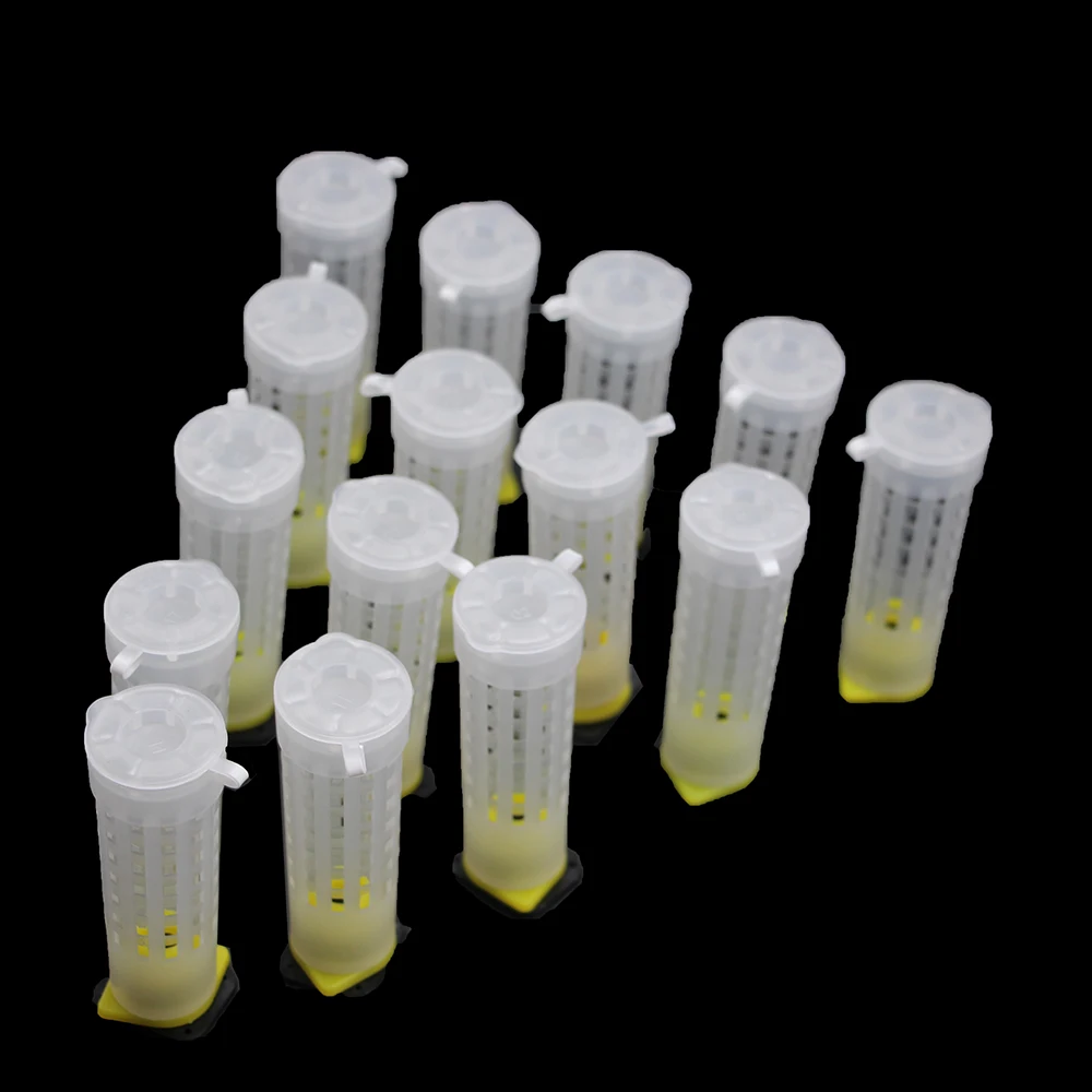 

20PCS Beekeeping Bee Plastic Queen Rearing Cage Cup Box Protection Cover Catcher Protective Base Bees Tools Supplies Equipment