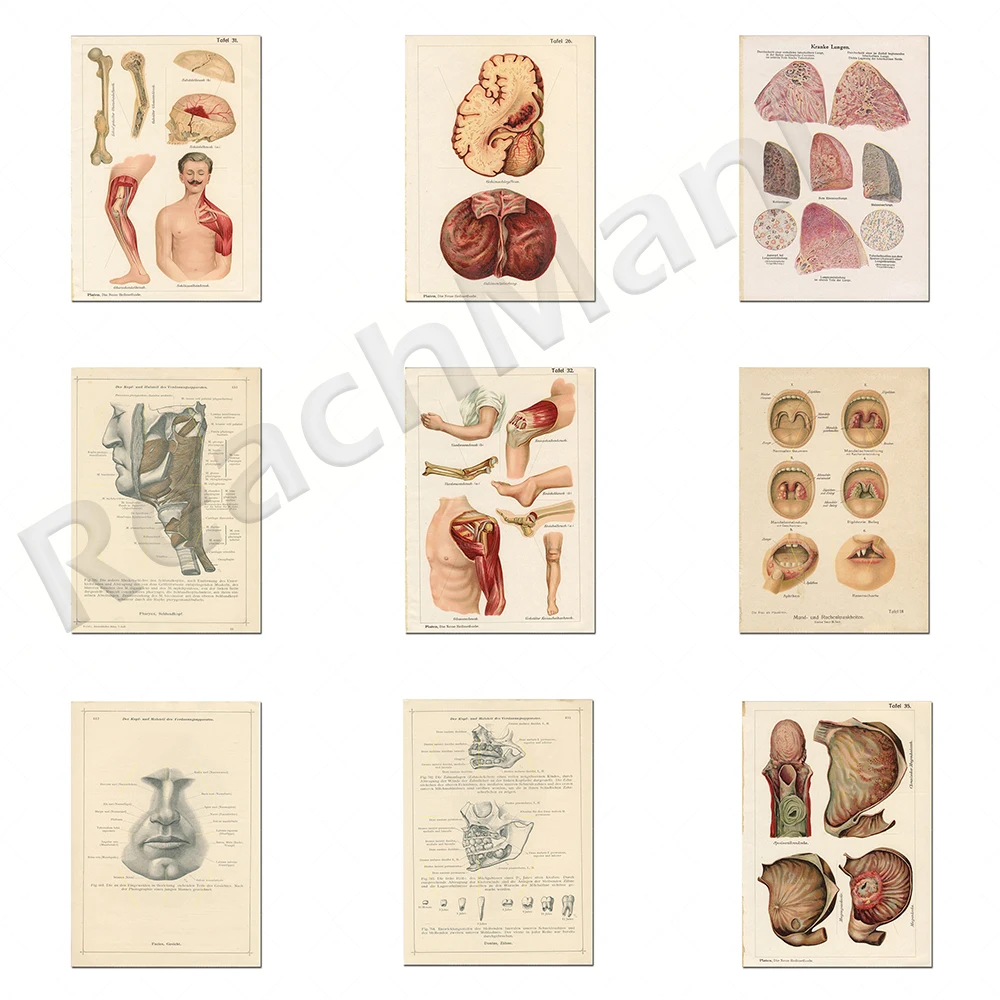 Doctor patent printing, brain, hand, foot, muscular system anatomical structure anatomy printing, medical hospital art clinic wa