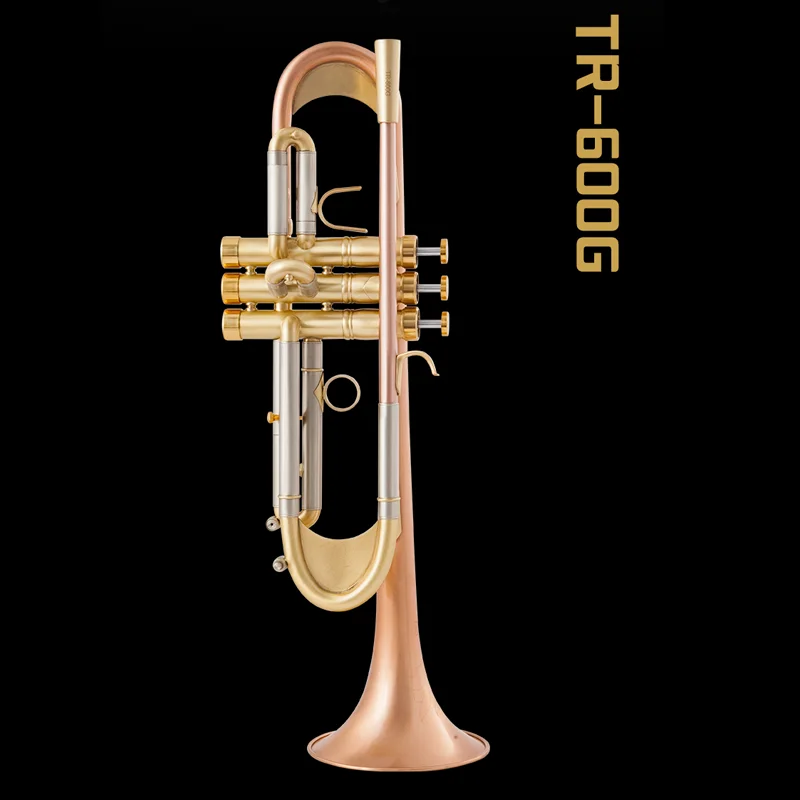 

TR600GS B flat trumpet instrument plus heavy phosphor bronze brushed silver plated professional performance