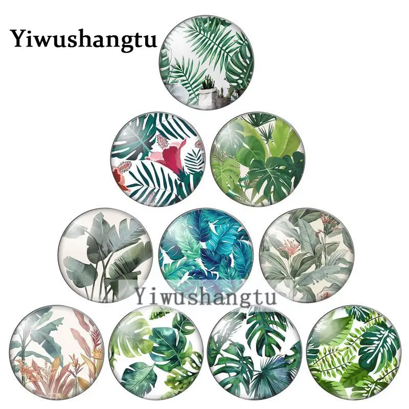 

Fashion beauty tropical leaf monstera leave 12mm/18mm/20mm/25mm Round photo glass cabochon demo flat back Making findings ZB0543
