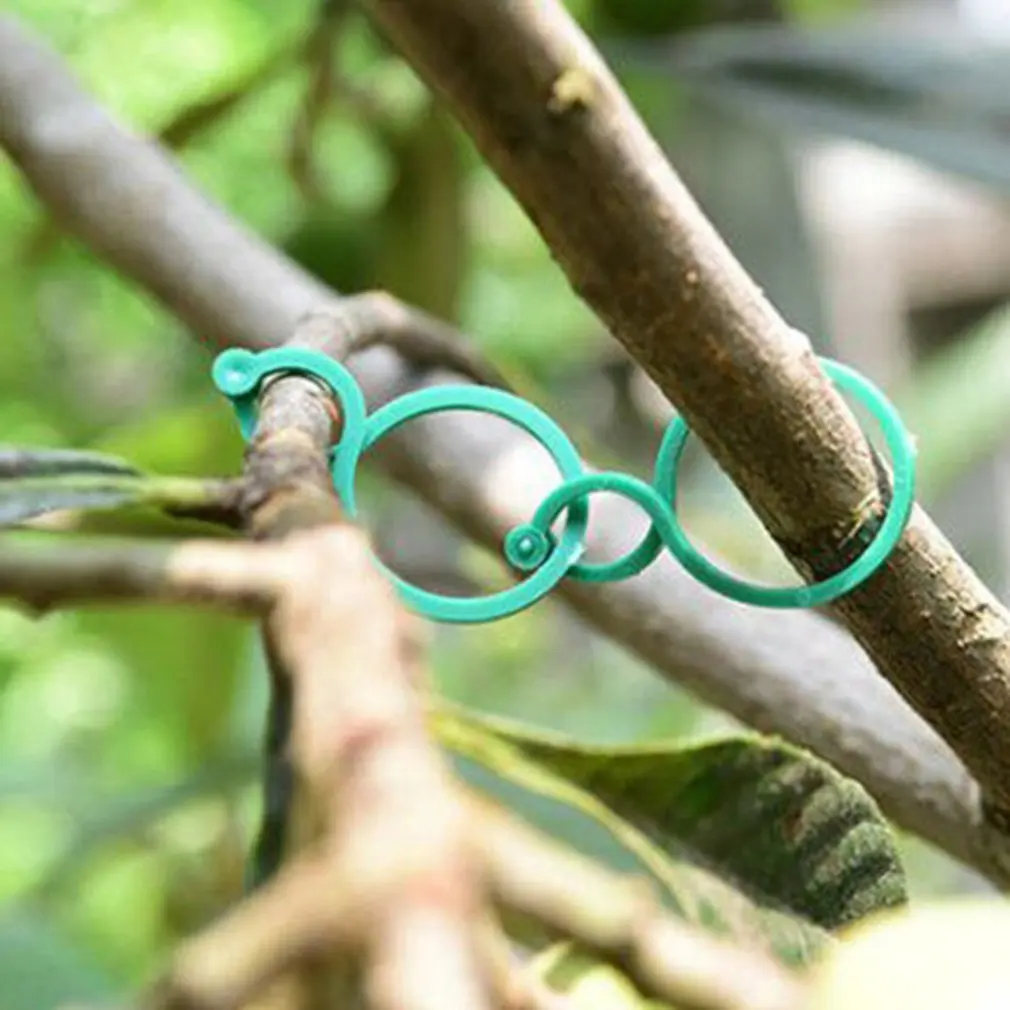 Vástago de jardín con 8 hebillas para plantas, tallo de flores de tomate, plástico verde duradero, 8 hebillas con alta flexibilidad