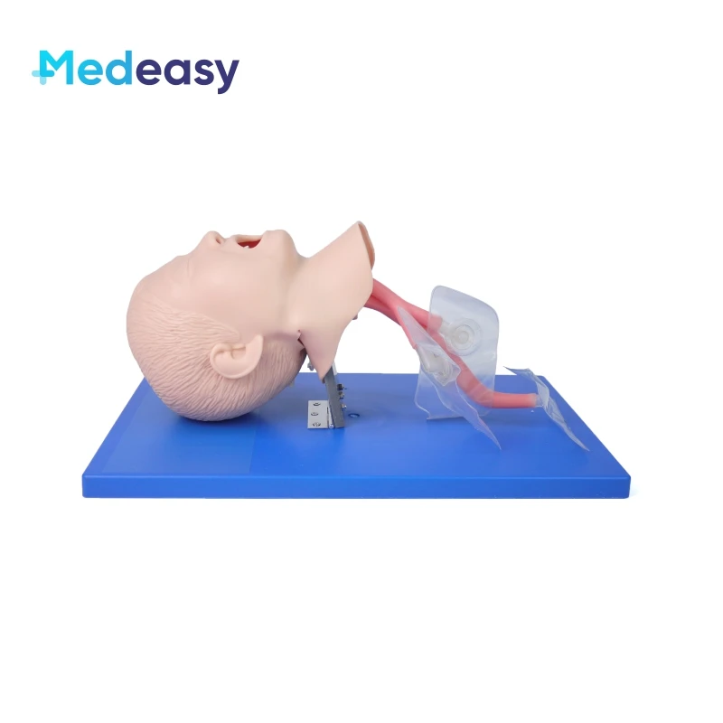 Adult Electric Endotracheal Intubation Training Manikin Child Tracheal Airway Intubation Model