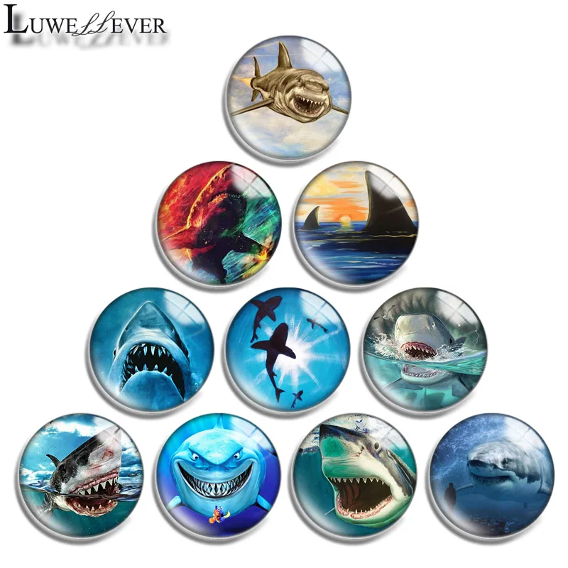 12mm 14mm 16mm 20mm 25mm 30mm 669 Shark Mix Round Glass Cabochon Jewelry Finding 18mm Snap Button Charm Bracelet