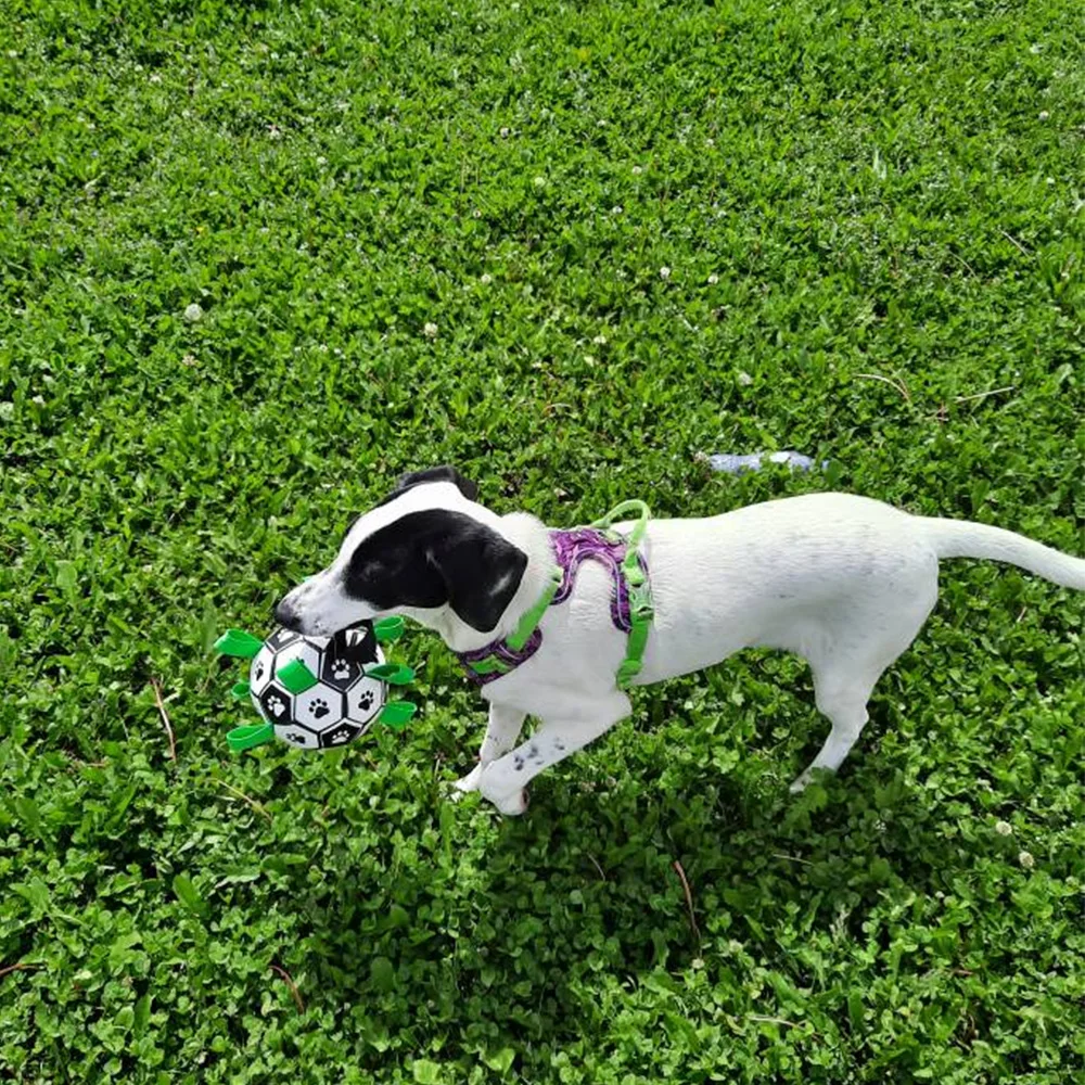 Interaktives Haustier-Fußballspielzeug mit Haltelaschen, Hundebiss-Kaubälle, Haustierzubehör, Welpen, Outdoor-Training, Fußball, 15 cm – Detail 9