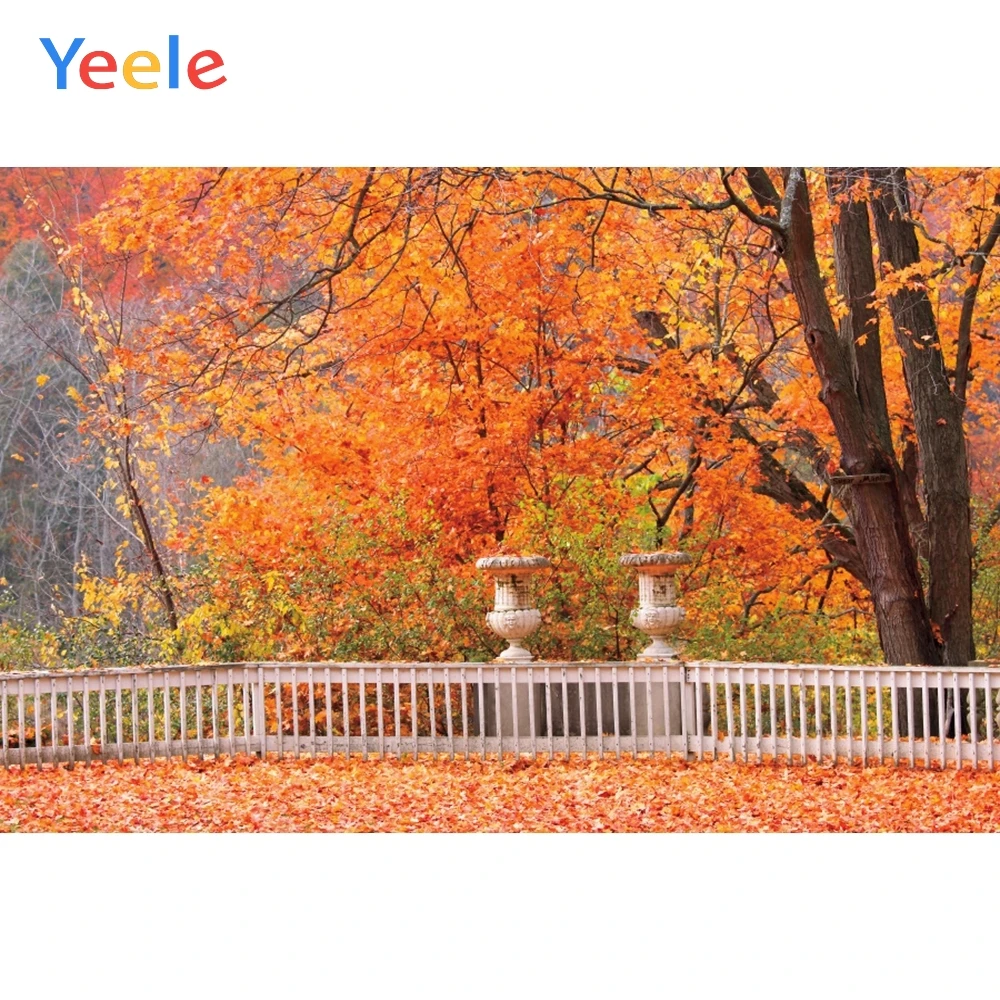 

Autumn Forest Tree Leaves Nature Scenery Scene Newborn Baby Portrait Backdrop Photography Background For Photo Studio Photophone