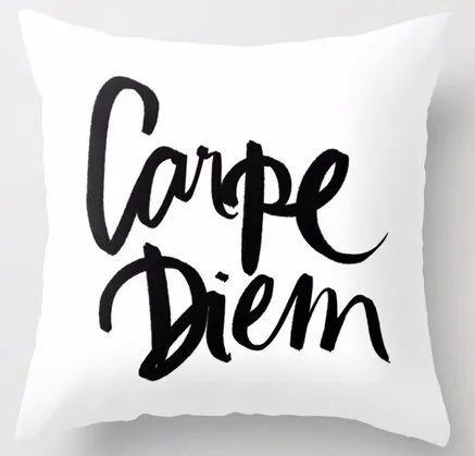 

Popular Customized Fashion Luxury Printing Carpe Diem White Inspired Soft Comfortable Bedding Set Square Zipper Throw Pillowcase