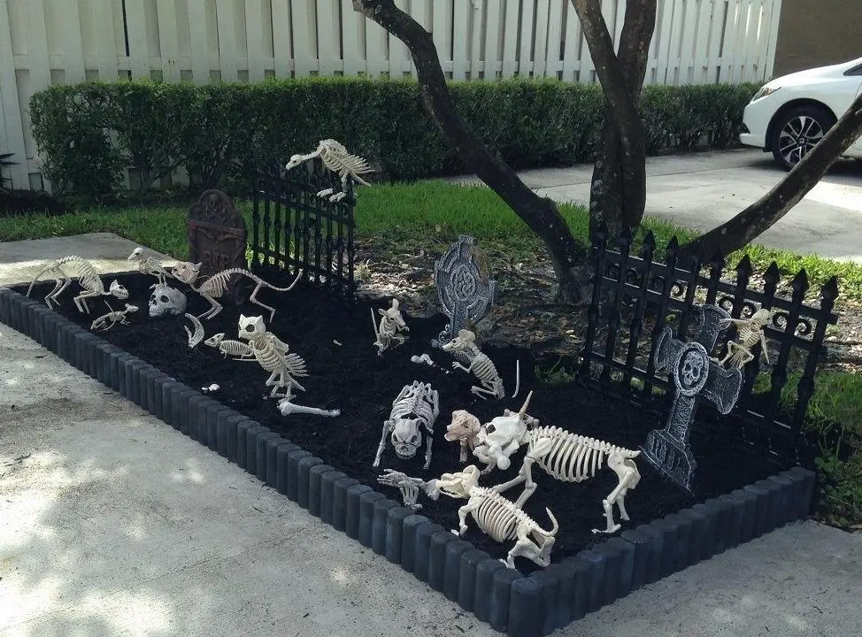 Dragon Puppy Cat Skeleton Animal Human Skull Skeleton Bones Horror Halloween Prop Animal Home House Party Decoration accessori