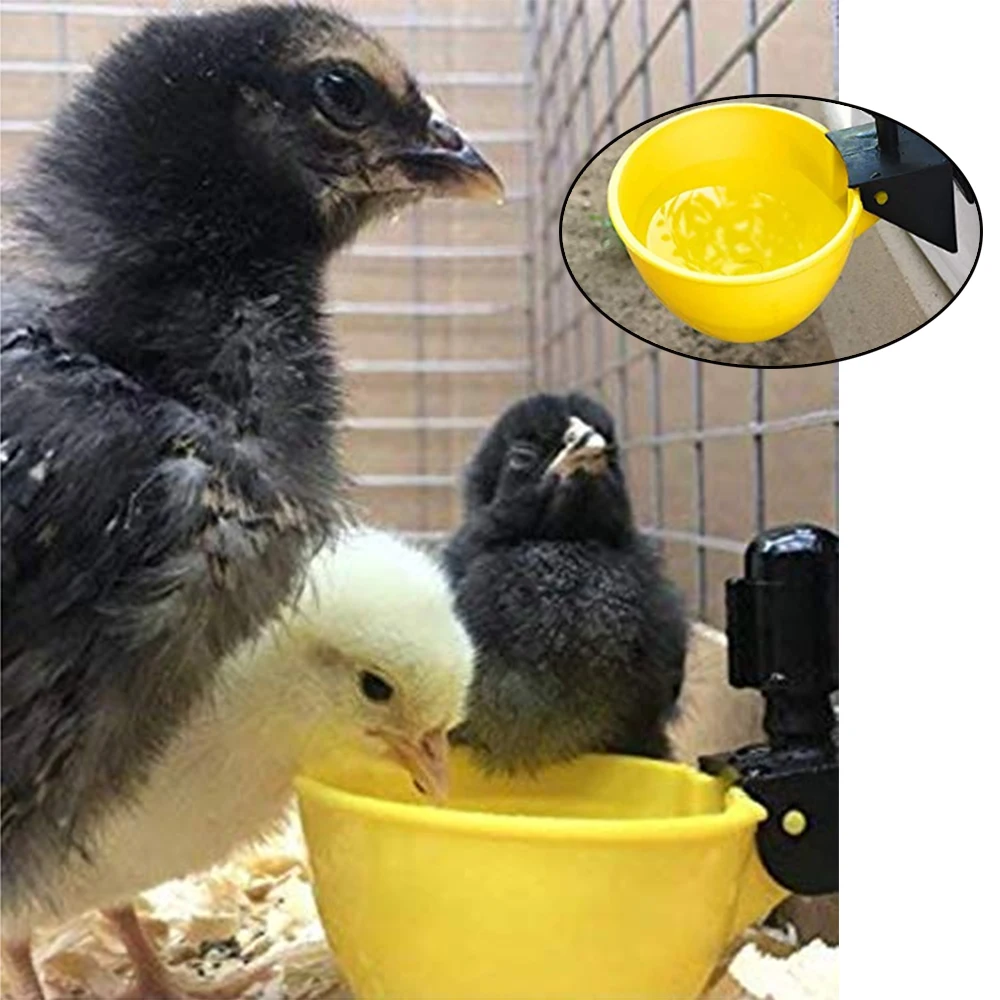 10 Pcs Newest Automatic Chicken Drinker Yellow Plastic Drinking bowls for Chicken Bird Pigeon Poultry  Water Drinking Fountain
