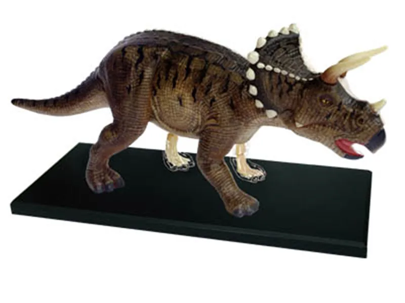 

4d Jurassic Dinosaur Tyrannosaurus Rex Puzzle Assembling Skeleton Toy Animal Organ Anatomy Medical Teaching Model