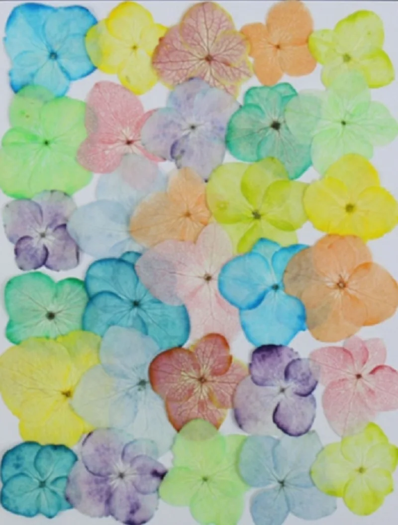 60pcs 2-3cm Pressed Dried Hydrangea Flower For Epoxy Resin Jewelry Making Bookmark Phone Case Face Makeup Nail Art DIY