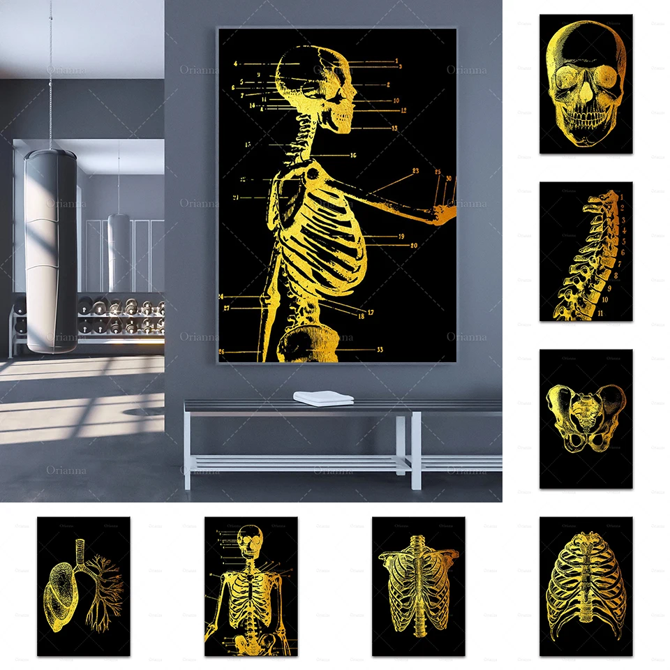 Anatomy Art Human Canvas Painting Skull,Ribs,Spine,Pelvic Wall Art Print Nordic Poster Wall Pictures For Doctor Office Decor