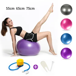 65 centimetri Sfera di Yoga Per Il Fitness Balls Sport Pilates Parto Fitball di Formazione Esercizio di Allenamento Sfera di Massaggio Palestra palla 75 centimetri 45cm Con Pompa