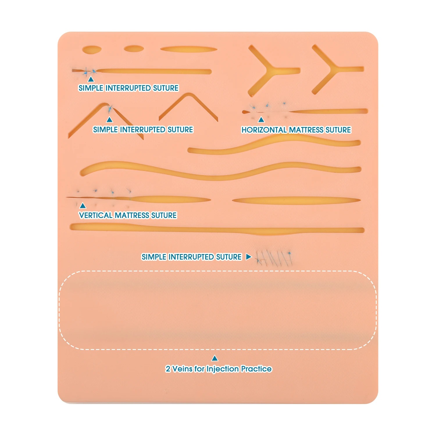 Med(2 in 1 usa un cuscinetto per allenamento per sutura in Silicone medico 2 vene IV Pad per iniezione