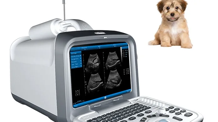 Best Quality 4D Color Portable Doppler Veterinary Ultrasound for Animal