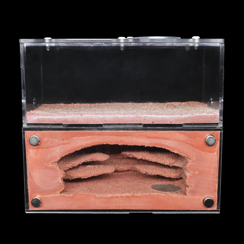 High Quality Concrete Ecological Ant Farm Acryl Ant House Pet Anthill Workshop Castle Sand Nest Sandcastle Insect Box 16*7*14CM