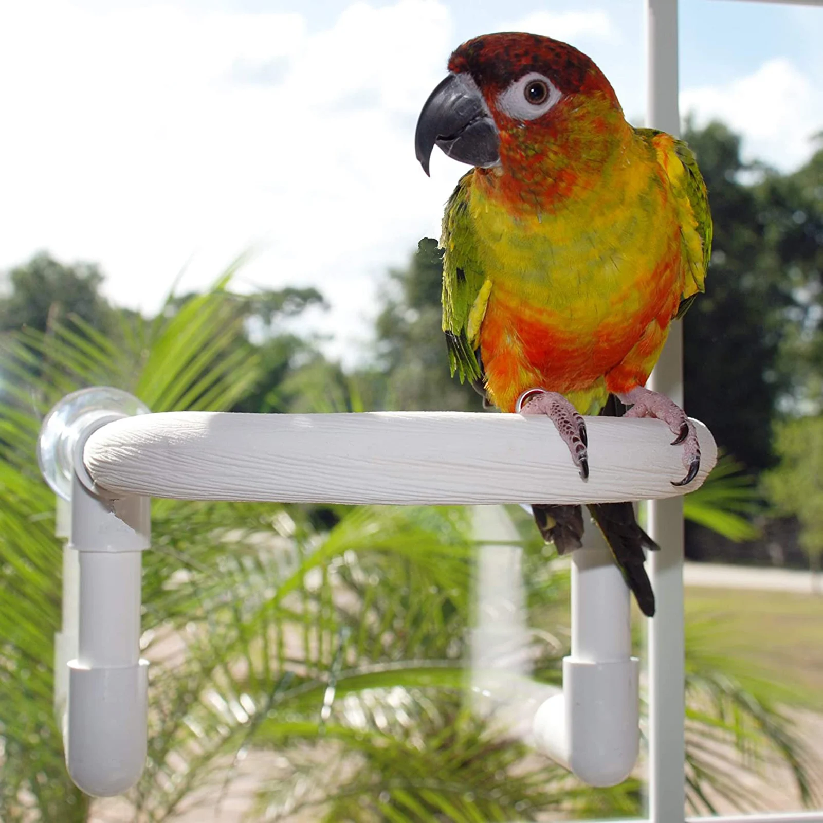 Parrot Bird Shower Perch with Portable Suction Cup Bird Cockatoo Bath Perch Toy Standing Platform Bath Stand