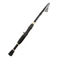 casting rod