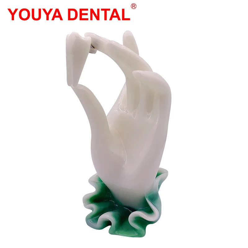 Dentistry Decoration Dentist Gifts Dental Figurines Tooth Jewelry Hand Sculpture    Clinic Desktop Showcase Ornament Furnishings