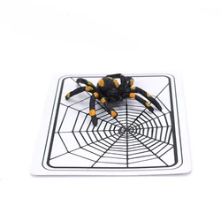 Spider And Net Magic Trick The Web Trick Cards Magic Props Magic Tricks Toys Magician Gimmick Magic Illusion