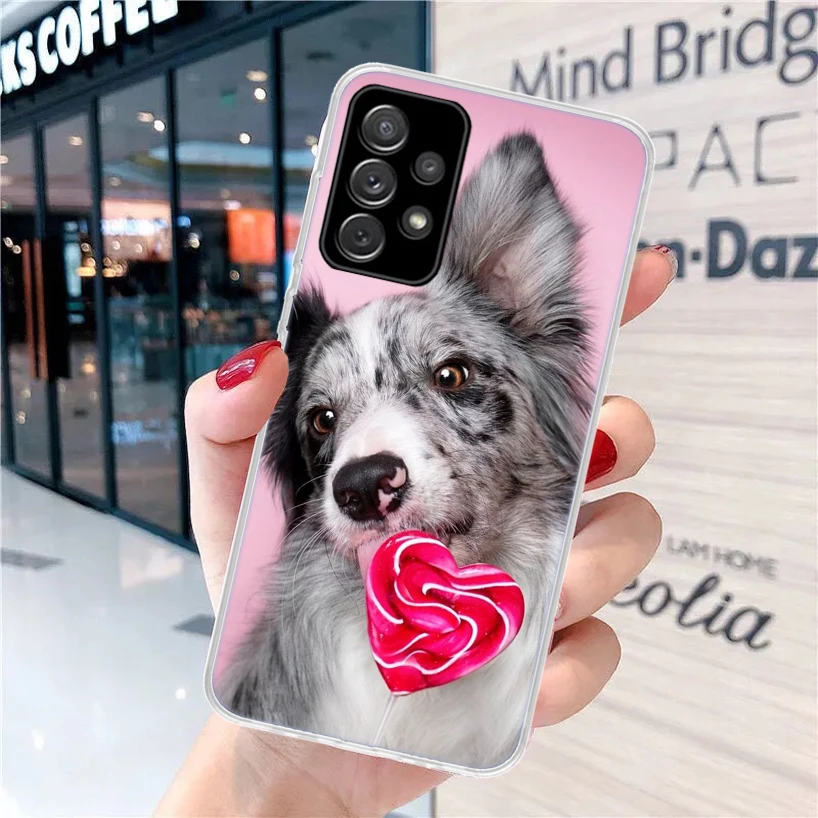 Border Collie Clever For Samsung Galaxy A15 A14 A13 A12 A55 A54 A53 A52 Phone Case A32 A35 A34 A33 A25 A24 A23 A22 A04S A03S A02