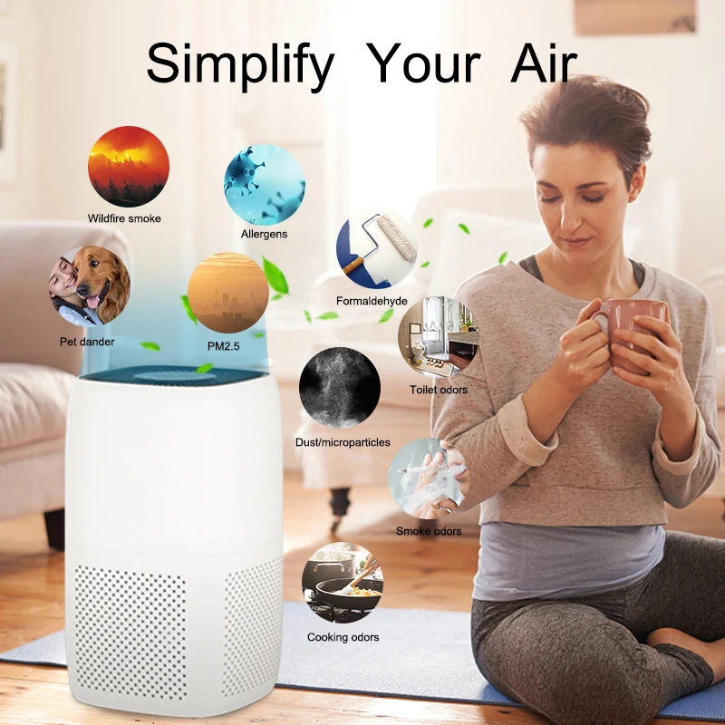 Portable air purifier for home room car with H13 HEPA Carbon filter,Desktop air cleaner For Dust Smokers Pollen Pet Dander