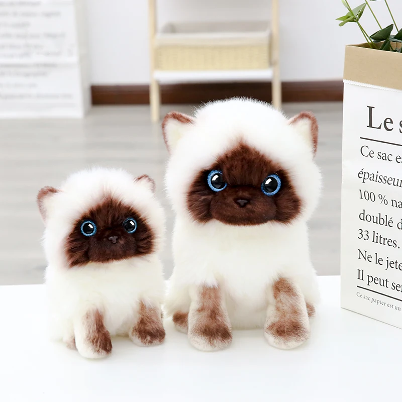 lovely cartoon cat simulation cat Thailand Siamese plush toy soft doll kid's toy Christmas gift b1722