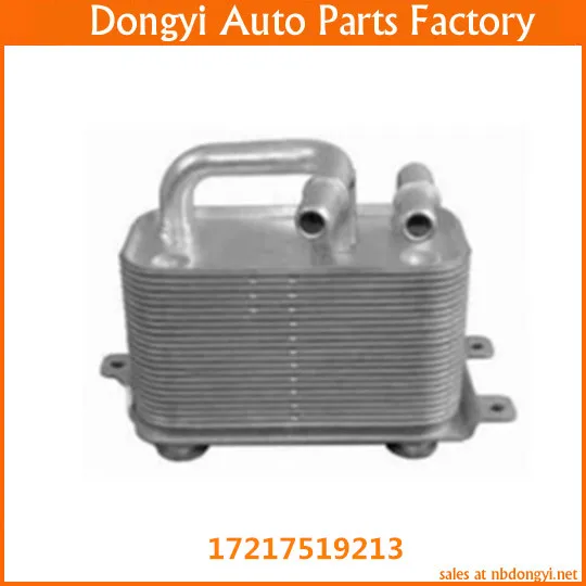 High Quality Oil Cooler Heat Exchanger  For 17217519213