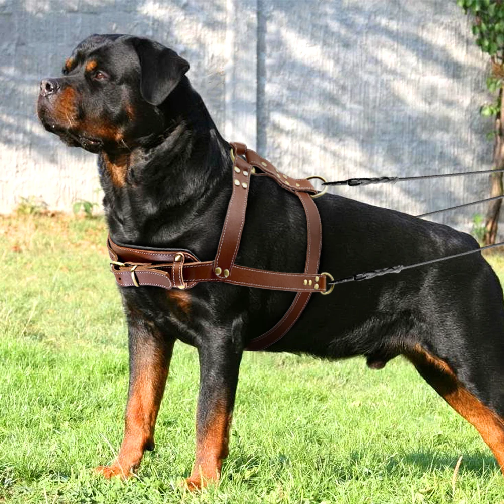 Soft Leather Dog Harness Brown Genuine Leather Medium Large Dog Harnesses Adjustable for Pitbull Alaskan Walking Training