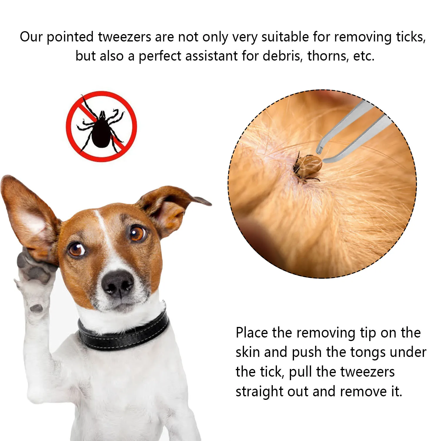 Professional Pet Tick Removal Tool Stainless Steel Tick Hook To Remove Ticks for Cat Dog Horse Human