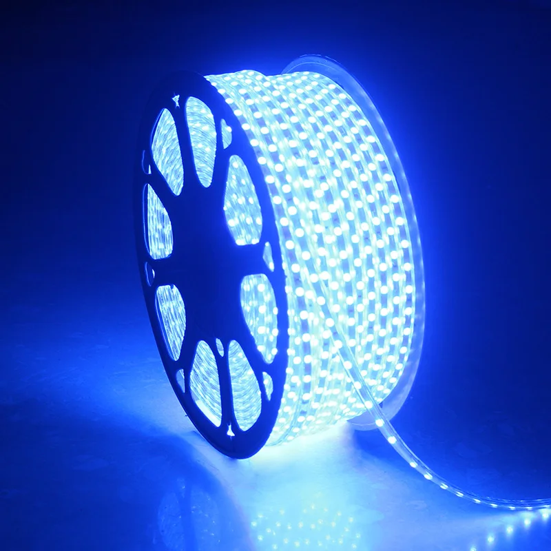 LED Strip Light 5050SMD RGB LED Strip Waterproof IP67 LED Flexible Strip 60LEDs/m Blue Warm White/White With Power Plug 50m 100m