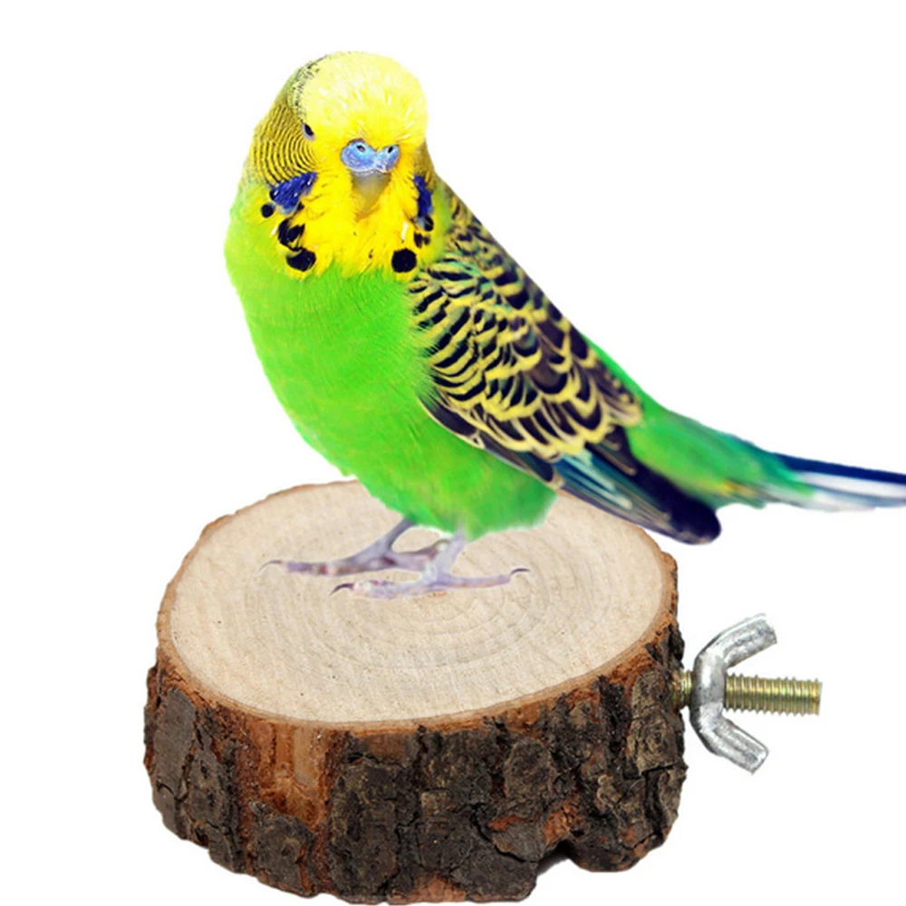 Round Wooden Squirrel Parrot Bird Perch Stand Platform Pet Bird Hanging Toy Bird Toy