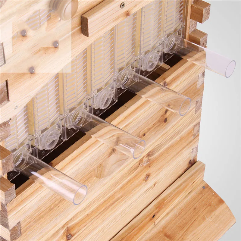 Automatic Wooden Bee Box Bee Nest 7pcs Beekeeping Equipment Beekeeper Honey Collection High Quality German Warehouse Deliver