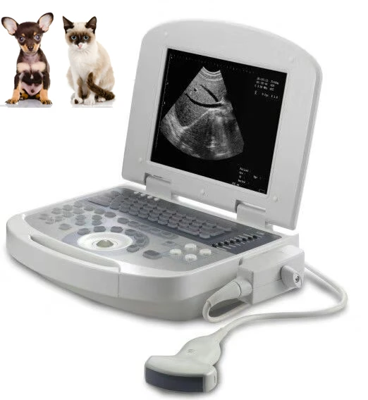 

10 in LED screen portable vet ultrasound free shipping machine