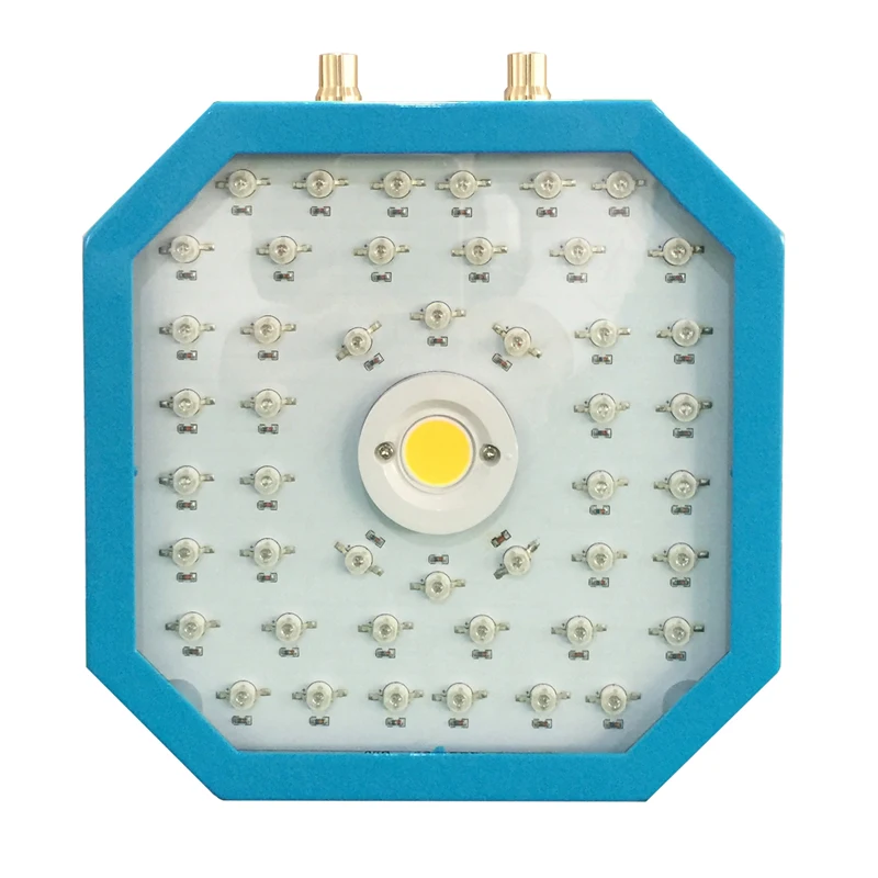 Imagem -02 - Luzes de Led Cob para Cultivo de Plantas Internas 1000w Espectro Completo Chip Duplo Lâmpadas Reguláveis Vegetal Luz para Crescimento de Plantas