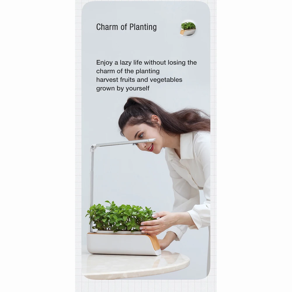 Hydroponics Growing System, Indoor Herb Garden Starter Kit with Led Grow Light, Smart Garden Planter for Home Kitchen, Automatic - Image 6