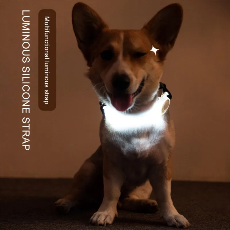 Pet Luminous Collar Strap LED Night Safety Glow Dog Leash Decorative In The Dark Dogs Fluorescent Collars Pet Product