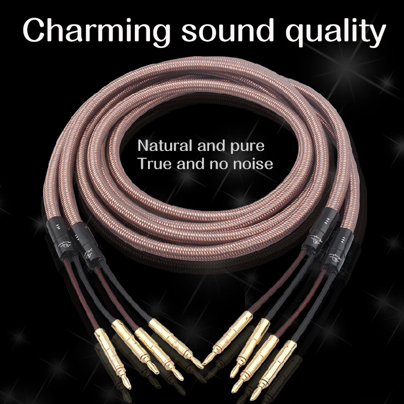 

40th Anniversary Edition HiFi Audio Line Copper Speaker Cable Banana Plug