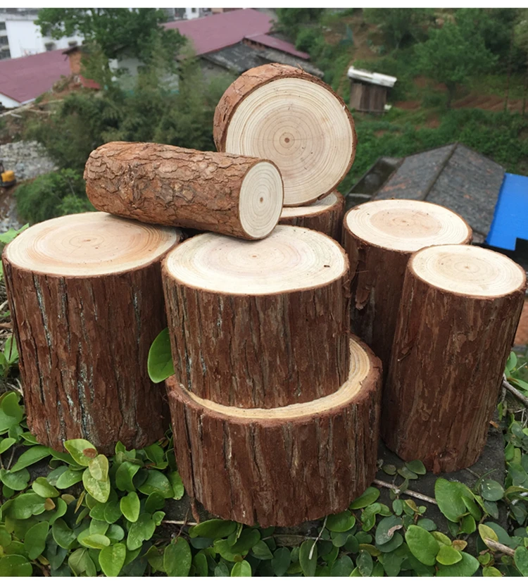 1pc Small Wooden pile base ornaments stump original wood tree photography photo tool manual DIY decoration Unfinished Wood