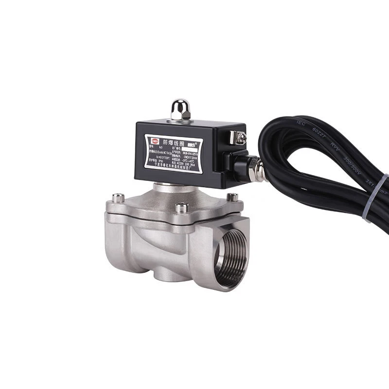 304 Stainless Steel DN25 Normally Closed Explosion-proof Solenoid Valve For Gas natural gas