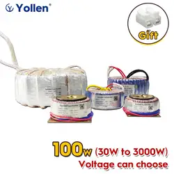 RING TYPE 100VA Toroidal Power Transformer 100W Circle Voltage Customized 220V/380V to 6V/9V/12V/18V/24V Audio power amplifier
