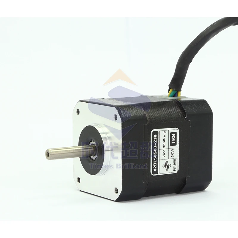 24V DC Brushless Motor 30W 3000 Speed High Speed Brushless Motor 42BL50S03-230