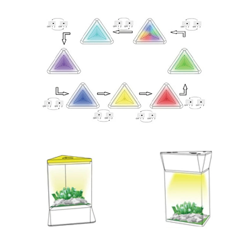 Green Growing Crystal Science Experiment w/ Display Case Educational Gift for 8+