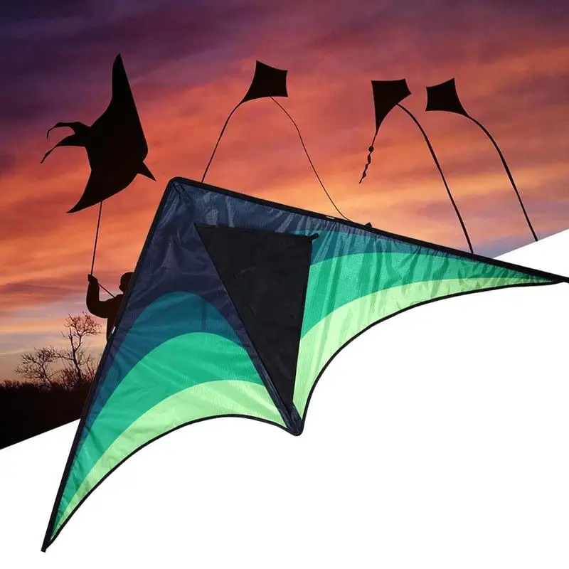 Hohe Qualität Große Delta Drachen Mit Griff Linie Outdoor-spielzeug Für Kinder Drachen Nylon Ripstop Albatros Outdoor Drachen Fliegen