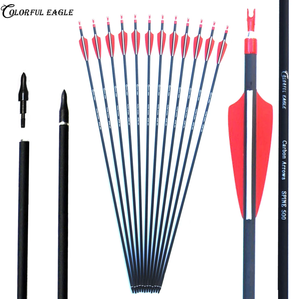 28/30/31 Inches Archery Carbon Arrows Practice Hunting Spine 500 with Removable Tips for Compound  Recurve Bow Shooting