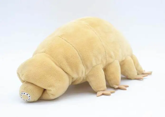 Water Bear Plush Toy Original Soft Tardigrade Educational Gift 18.5cm