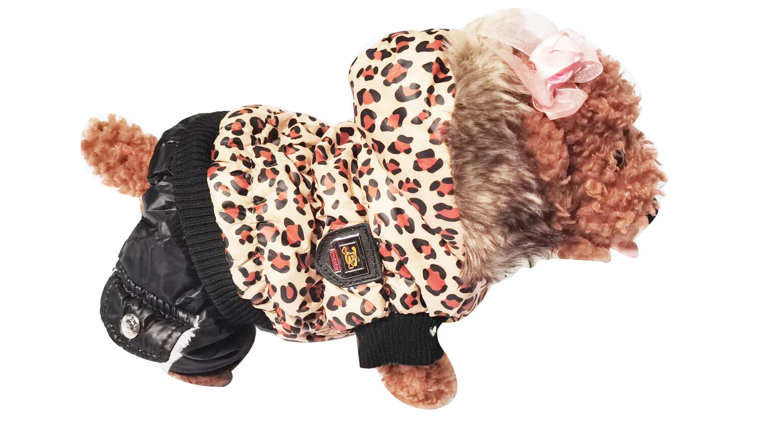 Waterproof Hooded Jacket for Small Dogs, Leopard Clothes, Warm Puppy Coats, Chihuahua, Yorkie Clothing, Winter