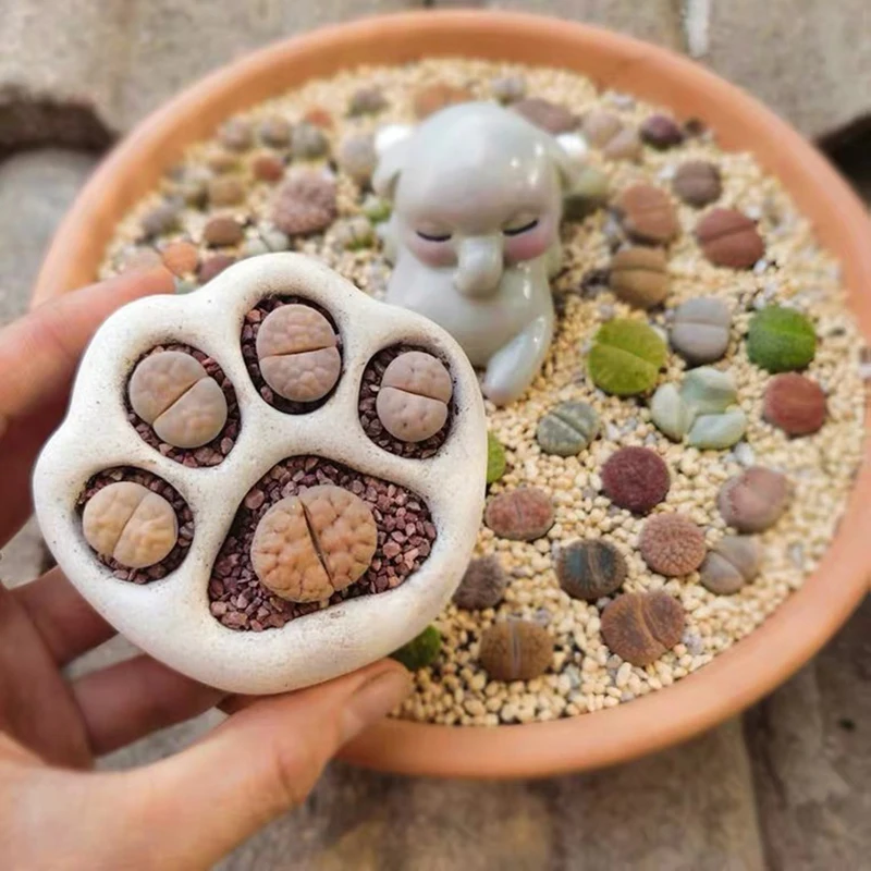 Cute Cat's Paw Succulent Planter Mold Animal silicone Flowerpot Mould DIY Concrete Creative Plaster Resin Clay Mold